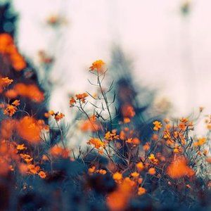 Meet your Posher, Beatriz.